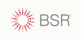 Business for Social Responsibility (BSR)