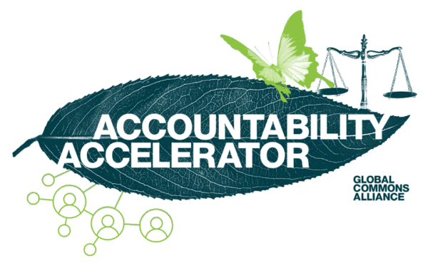 Accountability Accelerator