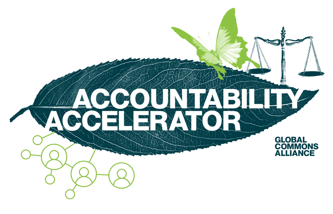Accountability Accelerator launched - Global Commons Alliance