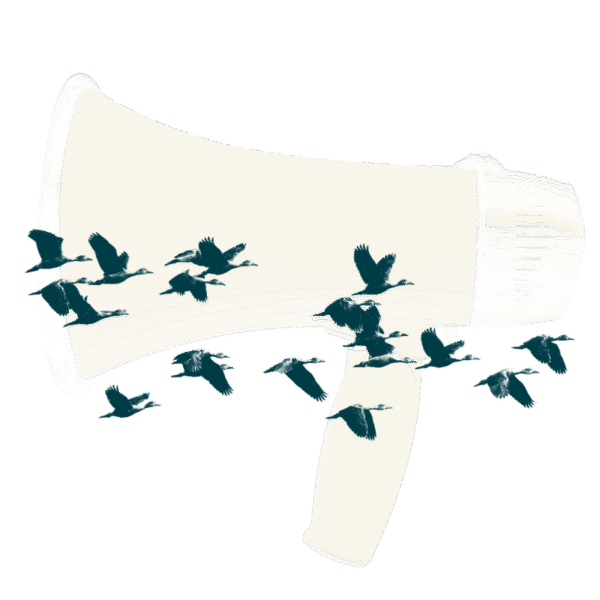 Global Commons Alliance Newsletter
