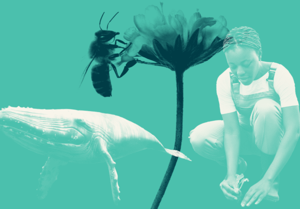 Read the latest newsletter from Global Commons Alliance.